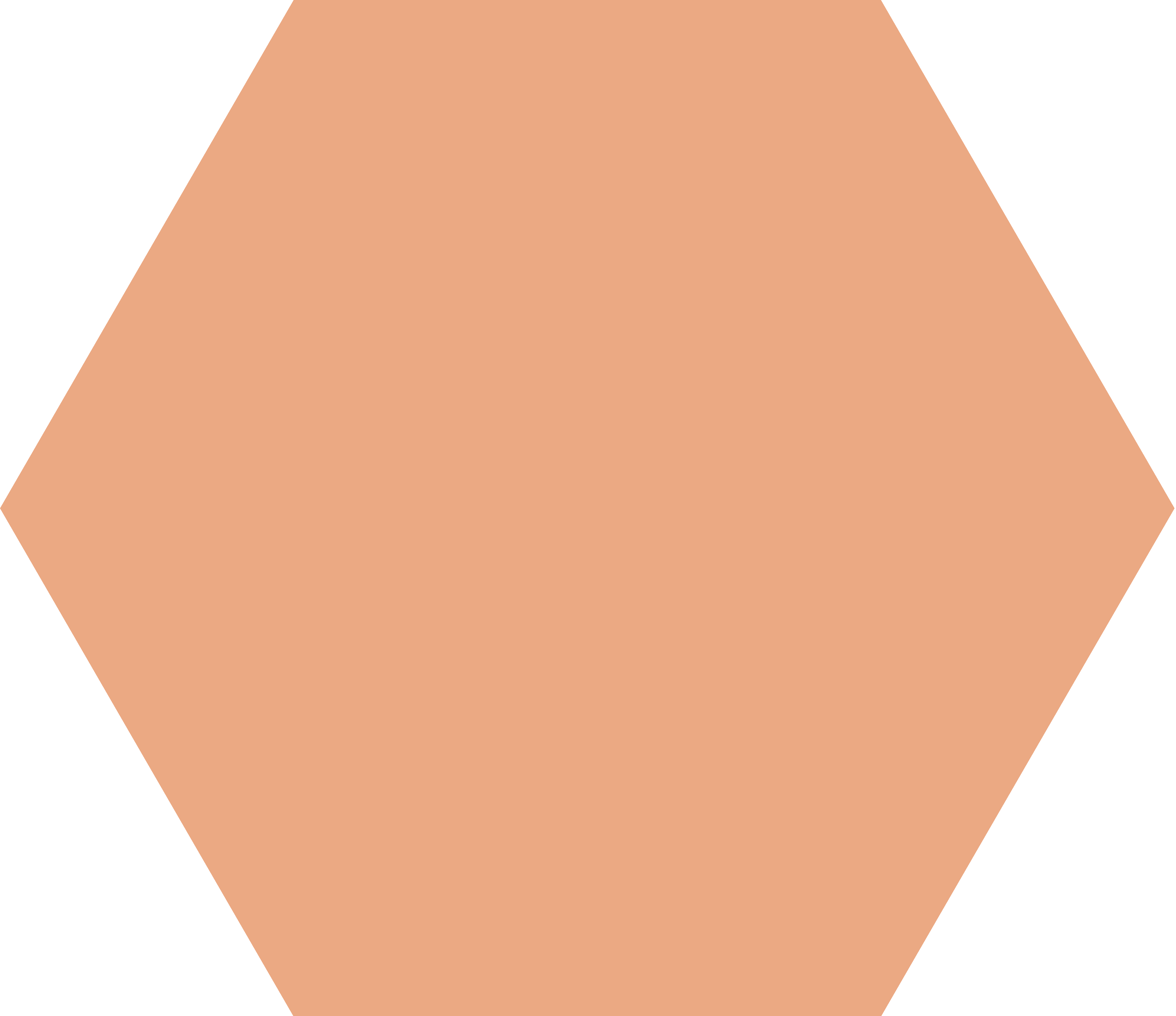 light orange hexagon